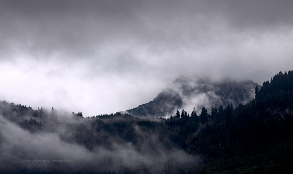 Morgennebel im Allgäu